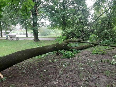 Sanacija posledic neurja_arhiv Občine Domžale (1)